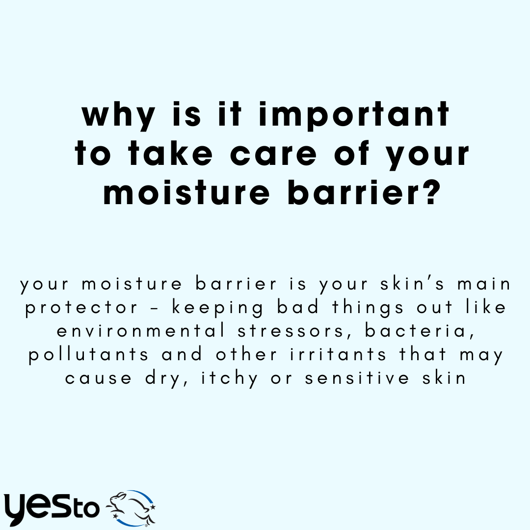moisture barrier booster intense hydration moisturizer with hyaluronic acid, electrolytes, and cucumber extract